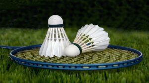 Badminton régions de France